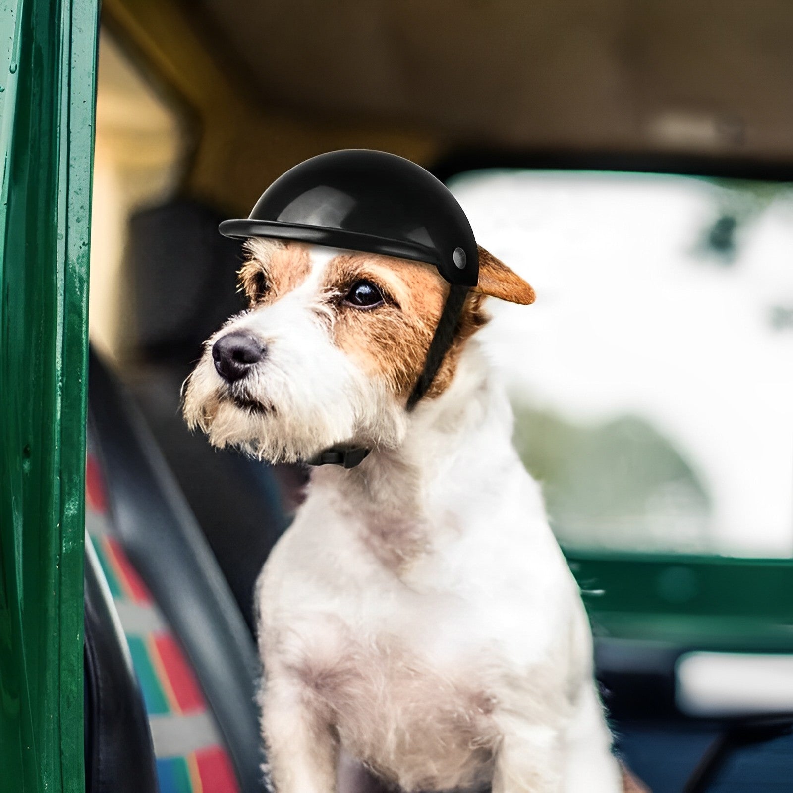Raxiva-dog motorcycle helmet goggles
