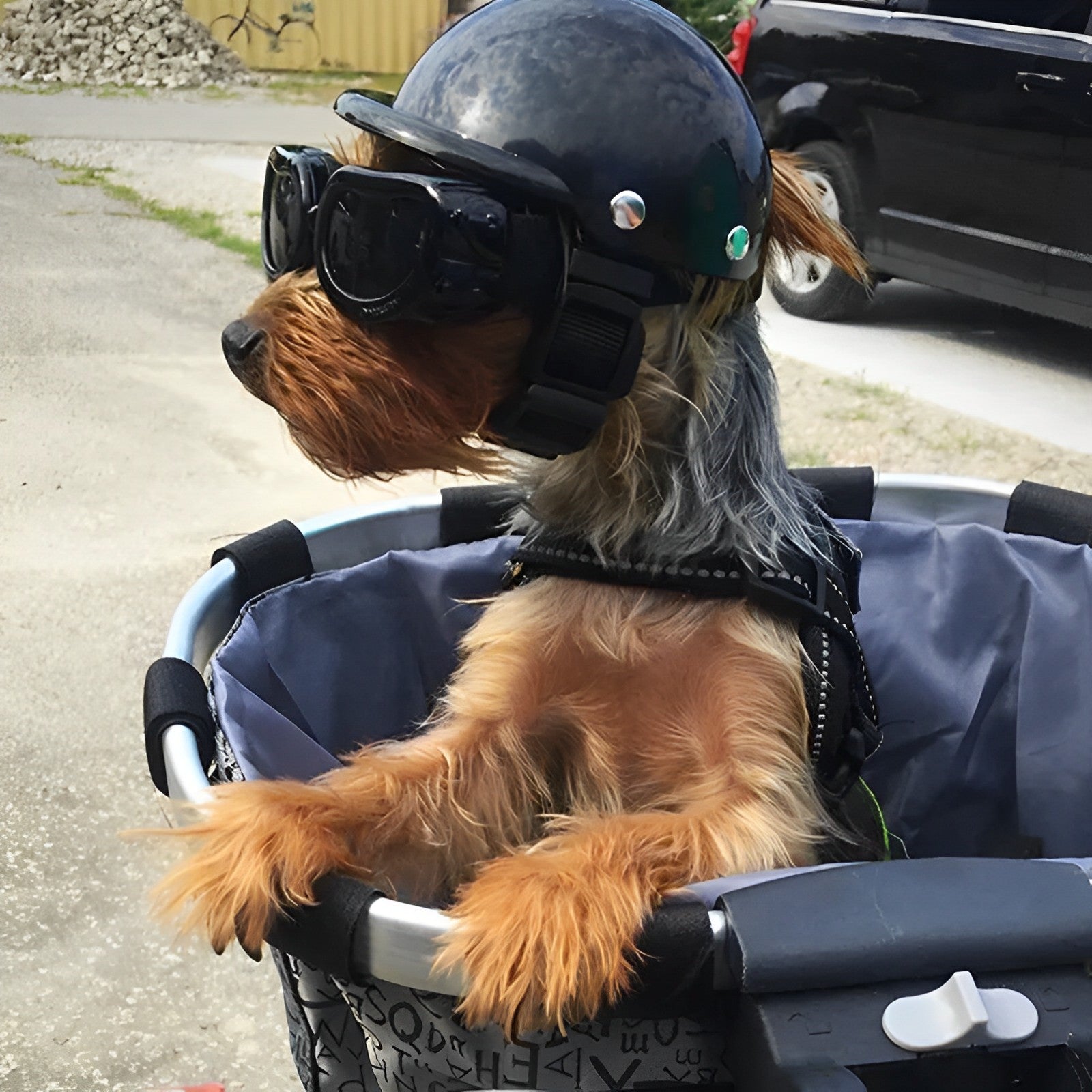 Raxiva-dog motorcycle helmet goggles