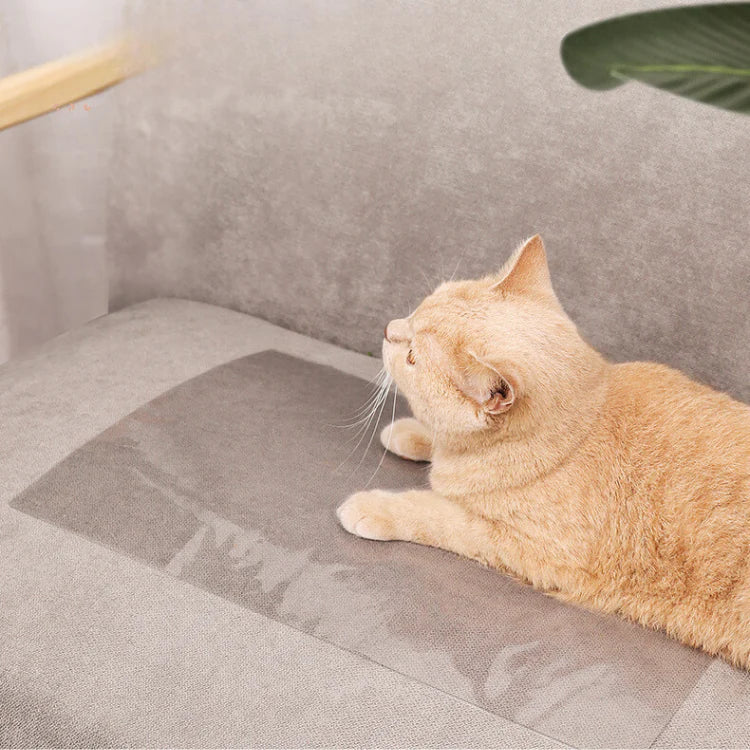 Raxiva-protection anti griffures canape preserve meubles offrez confort chat