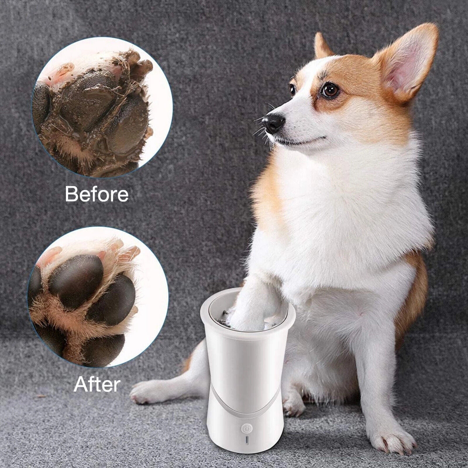 Raxiva-automatic paw cleaner