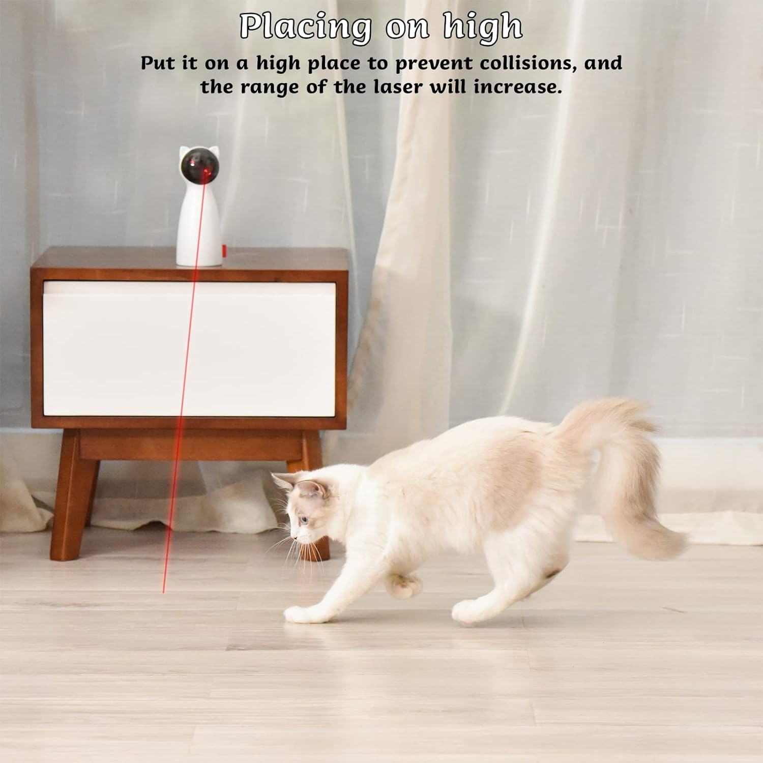 Raxiva-cat laser toy