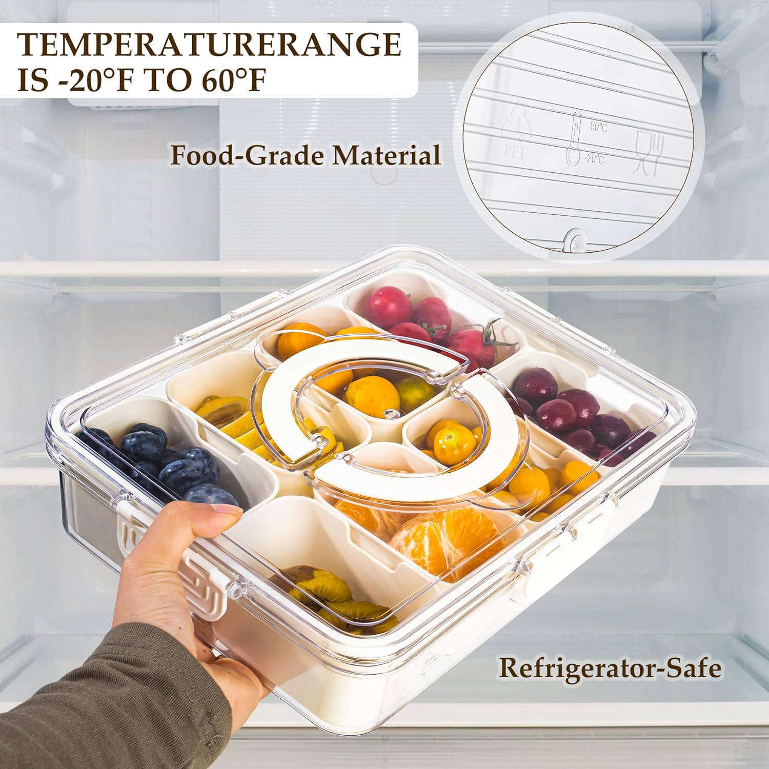 Raxiva-8 compartment serving tray with handle
