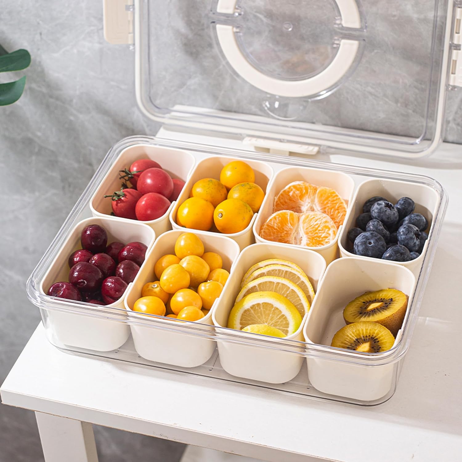 Raxiva-8 compartment serving tray with handle