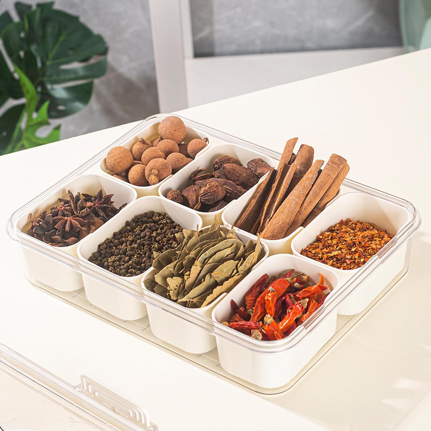 Raxiva-8 compartment serving tray with handle