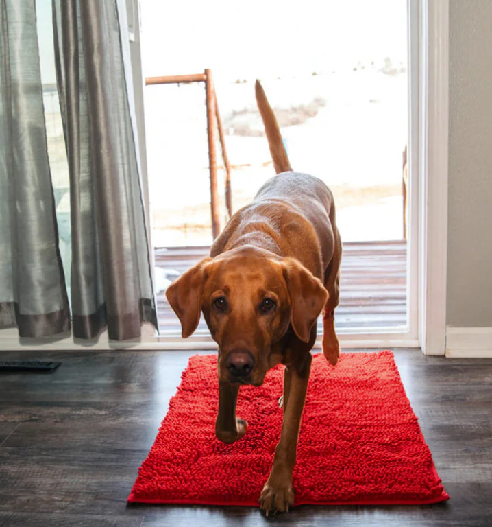 Raxiva-tapis microfibre ultra absorbant antiderapant lavable pour chien pawdry
