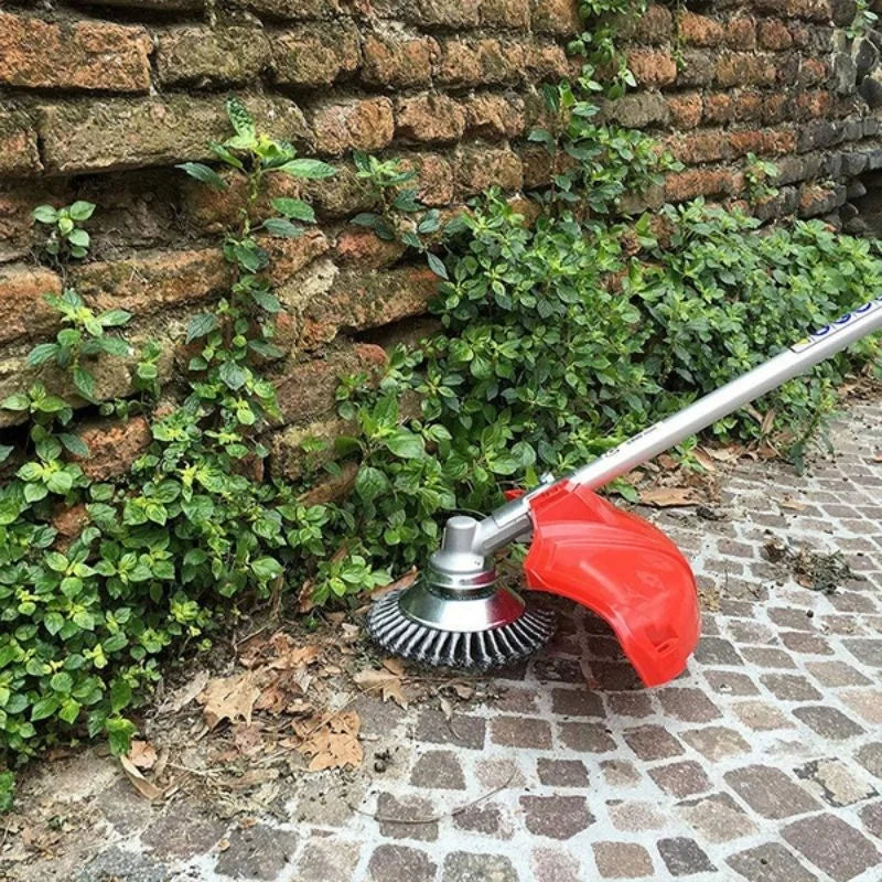 Raxiva carbon steel weed remover