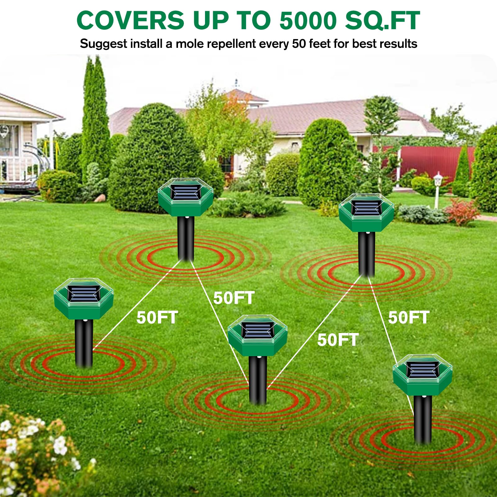 Raxiva-ultrasonic mole repellent four pack