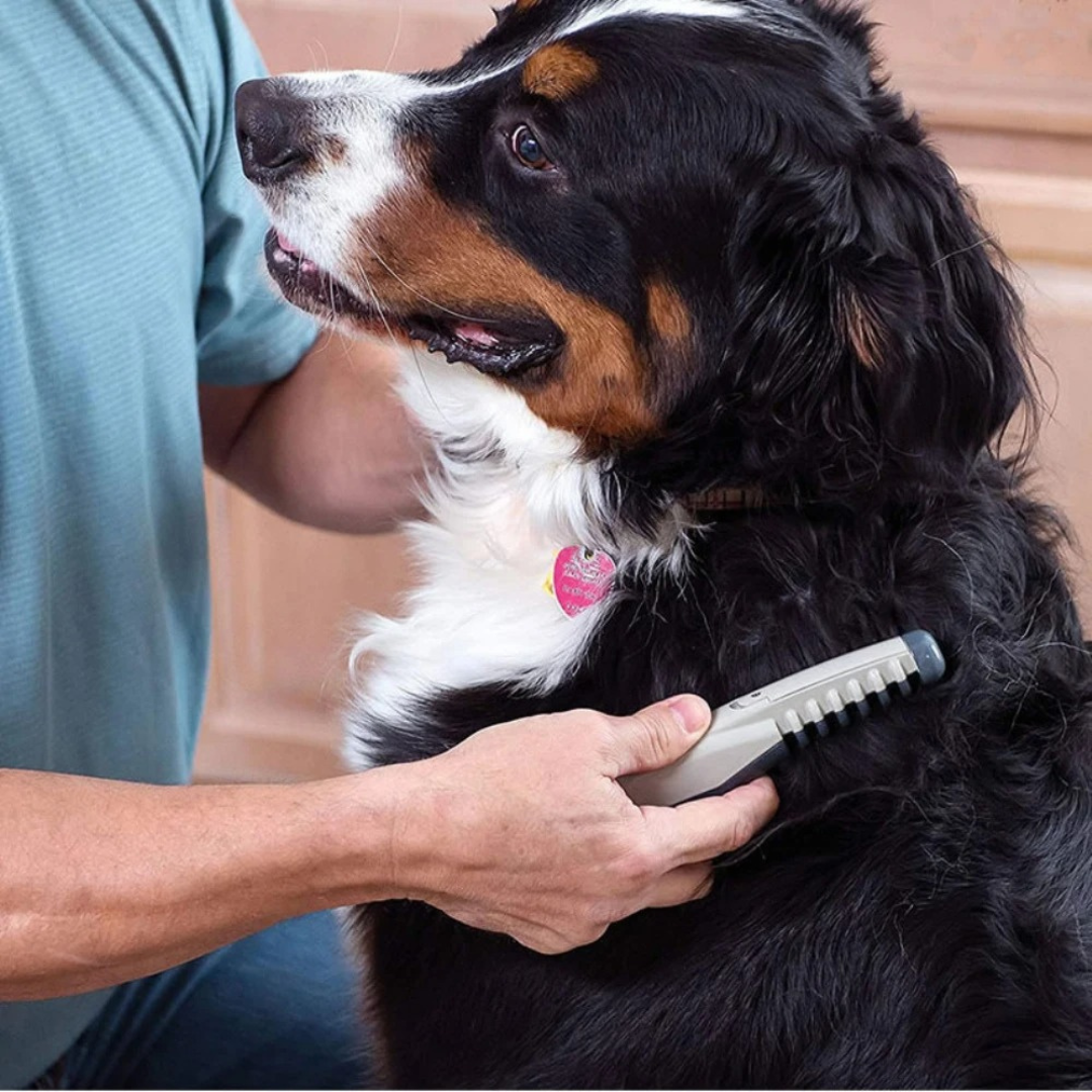 Raxiva-no more tangles and knots for your pet