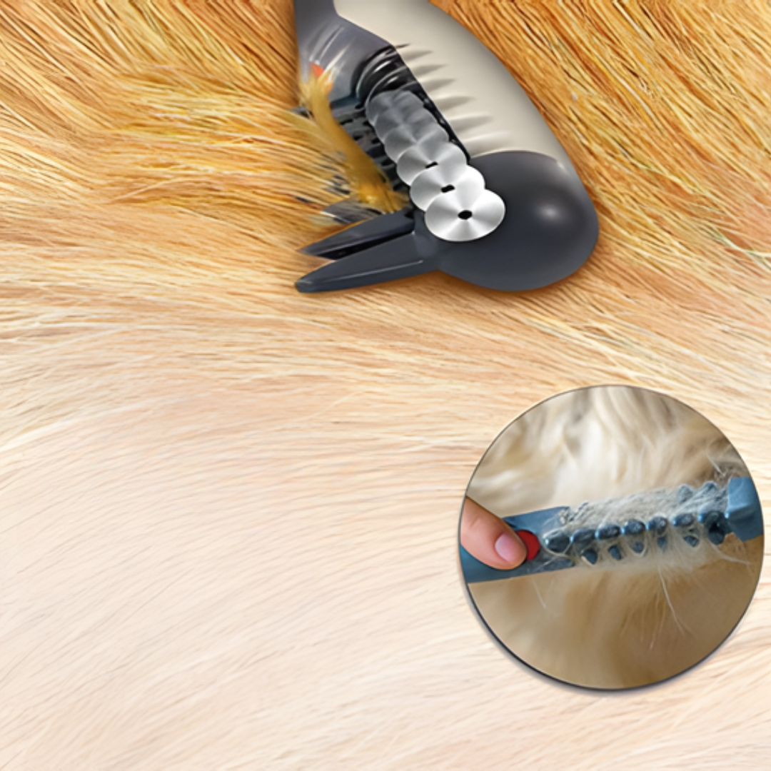 Raxiva-no more tangles and knots for your pet