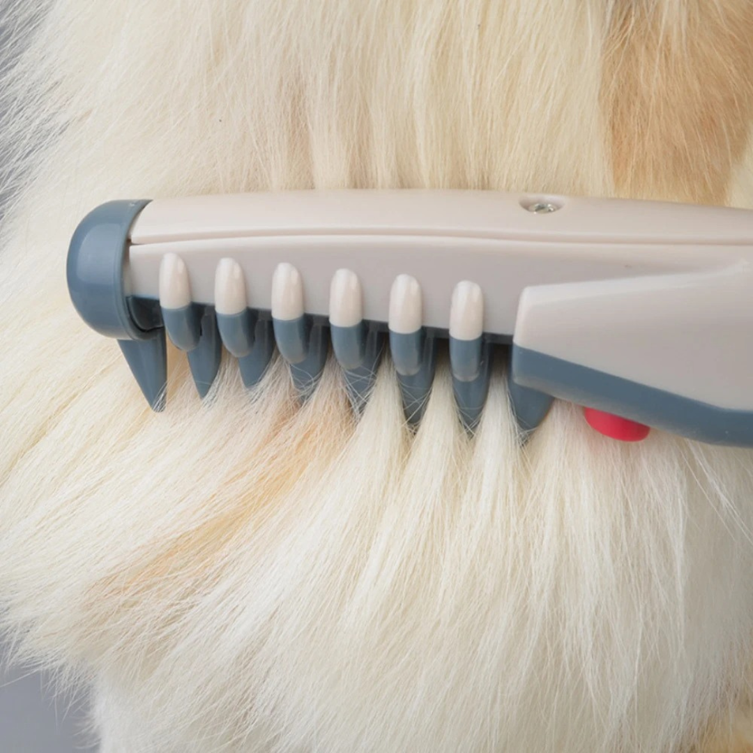Raxiva-no more tangles and knots for your pet