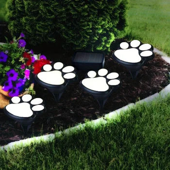 Raxiva-pattes magiques lumineuses pour jardin feerique