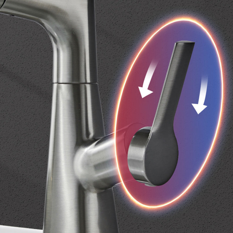 Raxiva-single hole basin faucet with pull out spray head