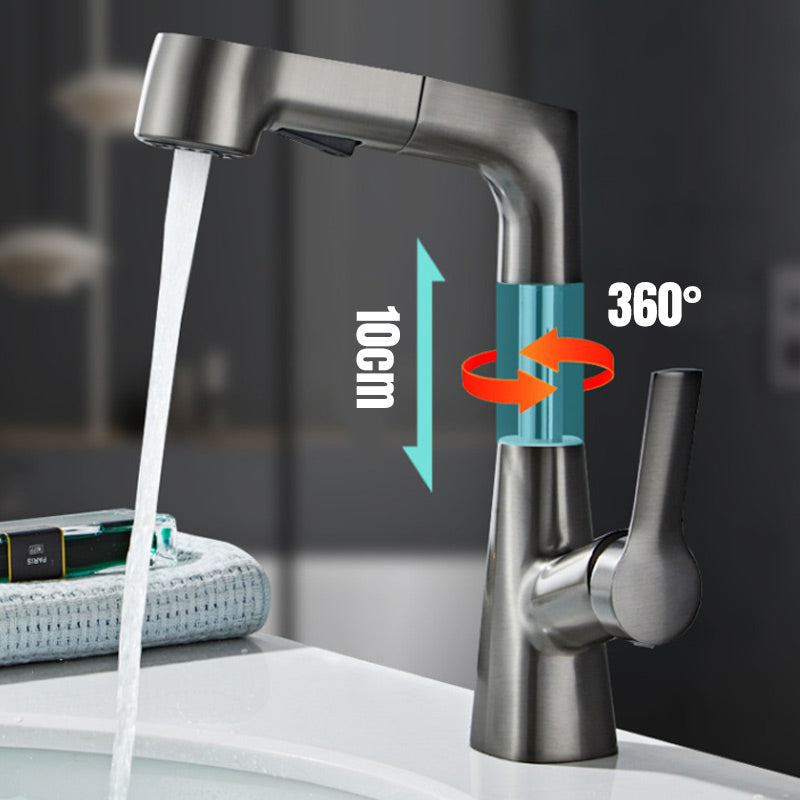 Raxiva-single hole basin faucet with pull out spray head