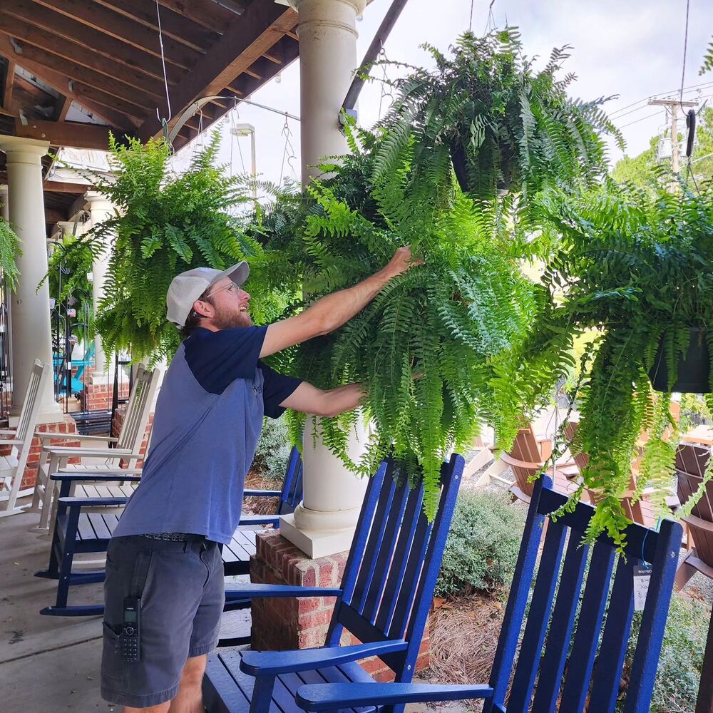 Raxiva-uv resistant lifelike artificial boston fern outdoor use