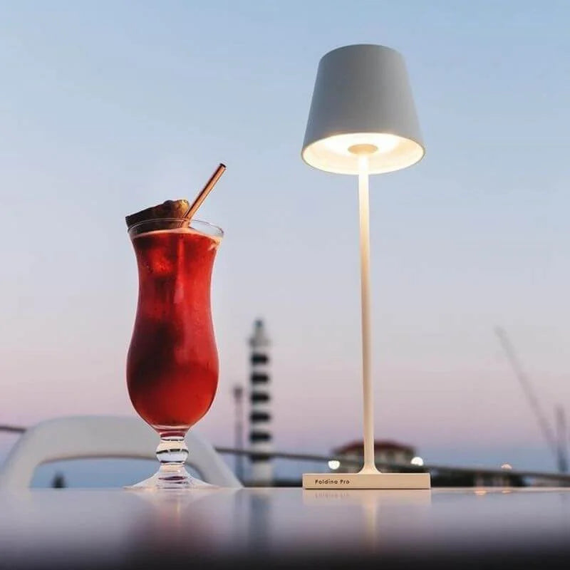 Raxiva modern rechargeable led wireless light