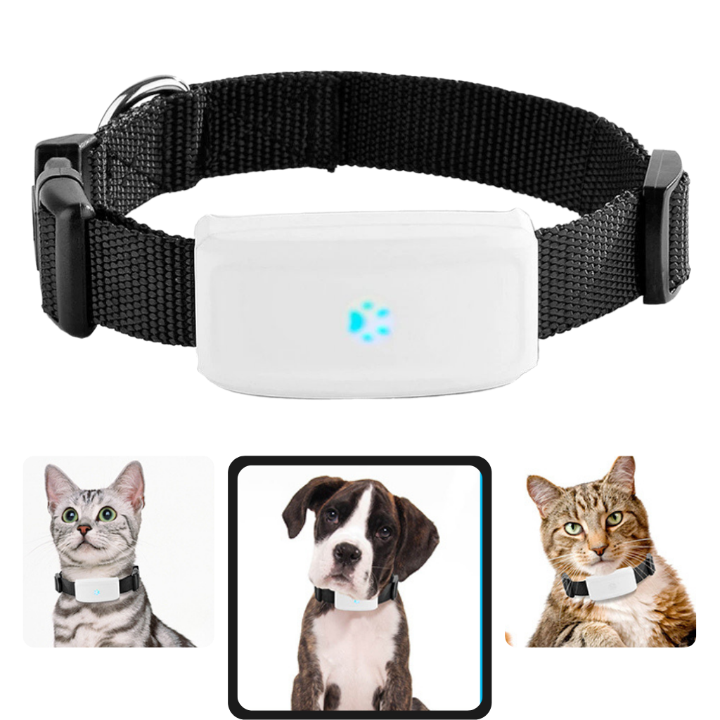 Pet GPS Tracking Collar-Raxiva-SKU38841708335136829PET7491695804477, Pet GPS Tracking Collar, , Raxiva, PET,