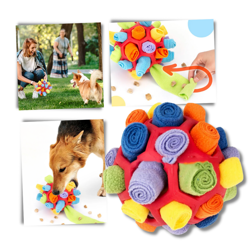 Raxiva - Mental Stimulator Snuffle Ball