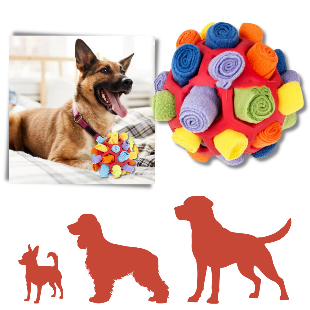 Raxiva - Mental Stimulator Snuffle Ball