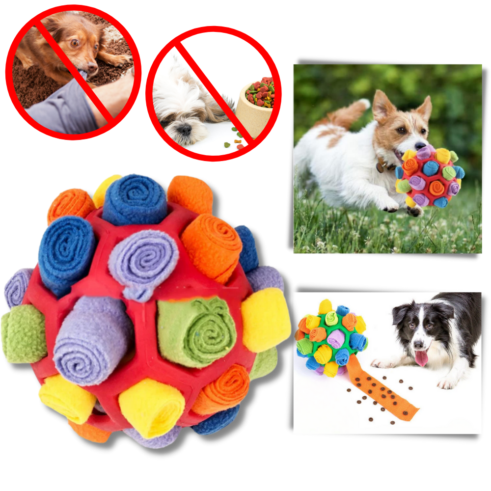Raxiva - Mental Stimulator Snuffle Ball