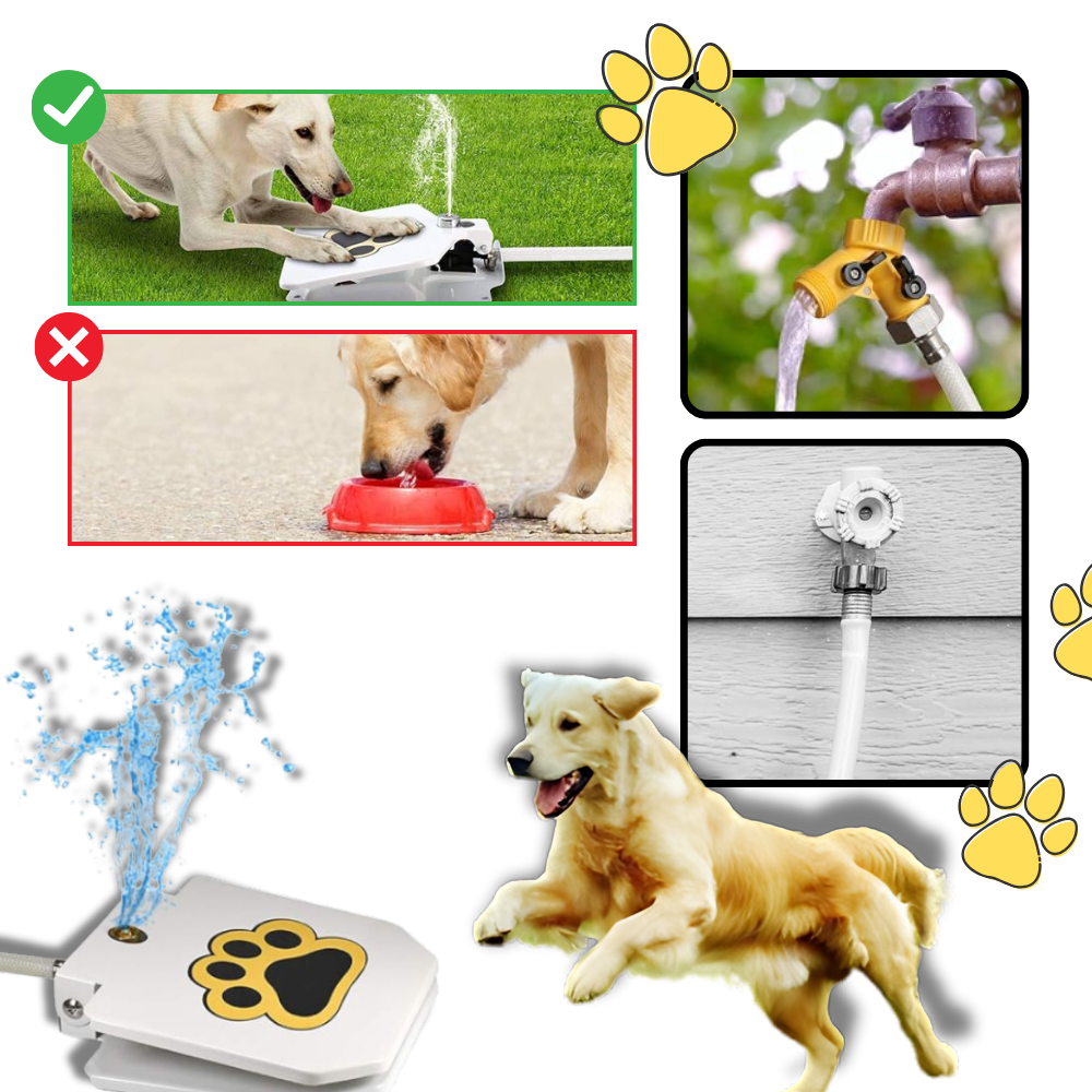 Raxiva - Paw Activated Dog Water Fountain
