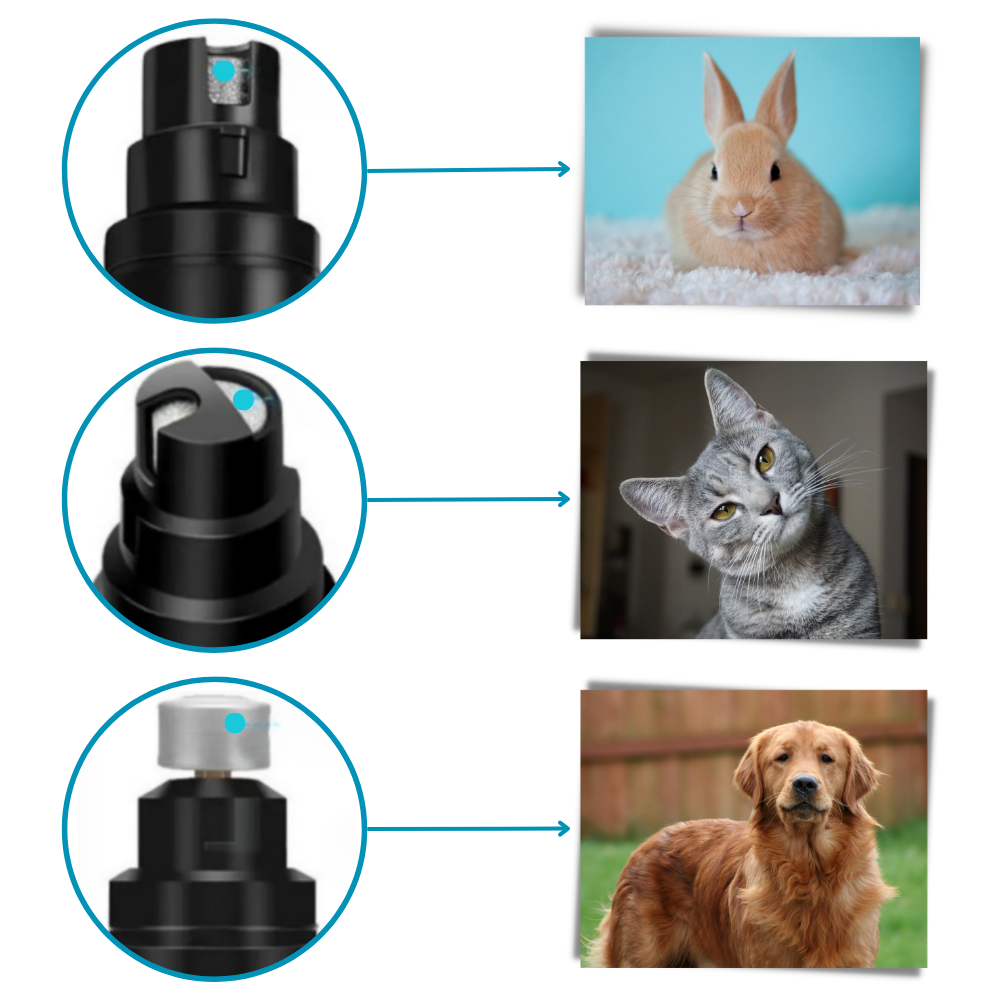 Raxiva - Pet Nail Grinder
