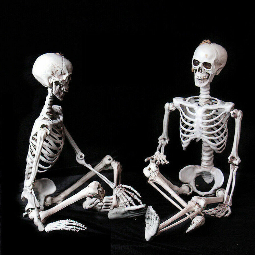 Raxiva - Poseable Skeleton - Creepy Halloween Decor
