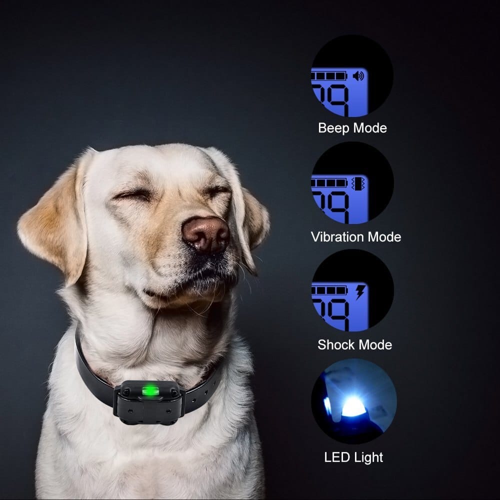 Raxiva-electric dog training collar 800m range
