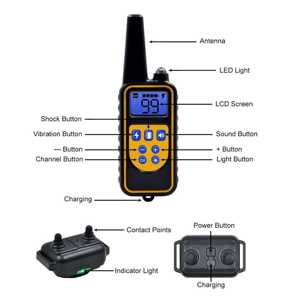 Raxiva-electric dog training collar 800m range
