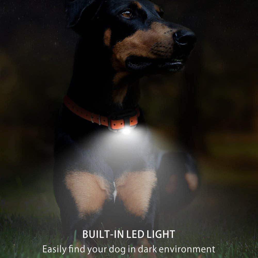 Raxiva-electric dog training collar 800m range