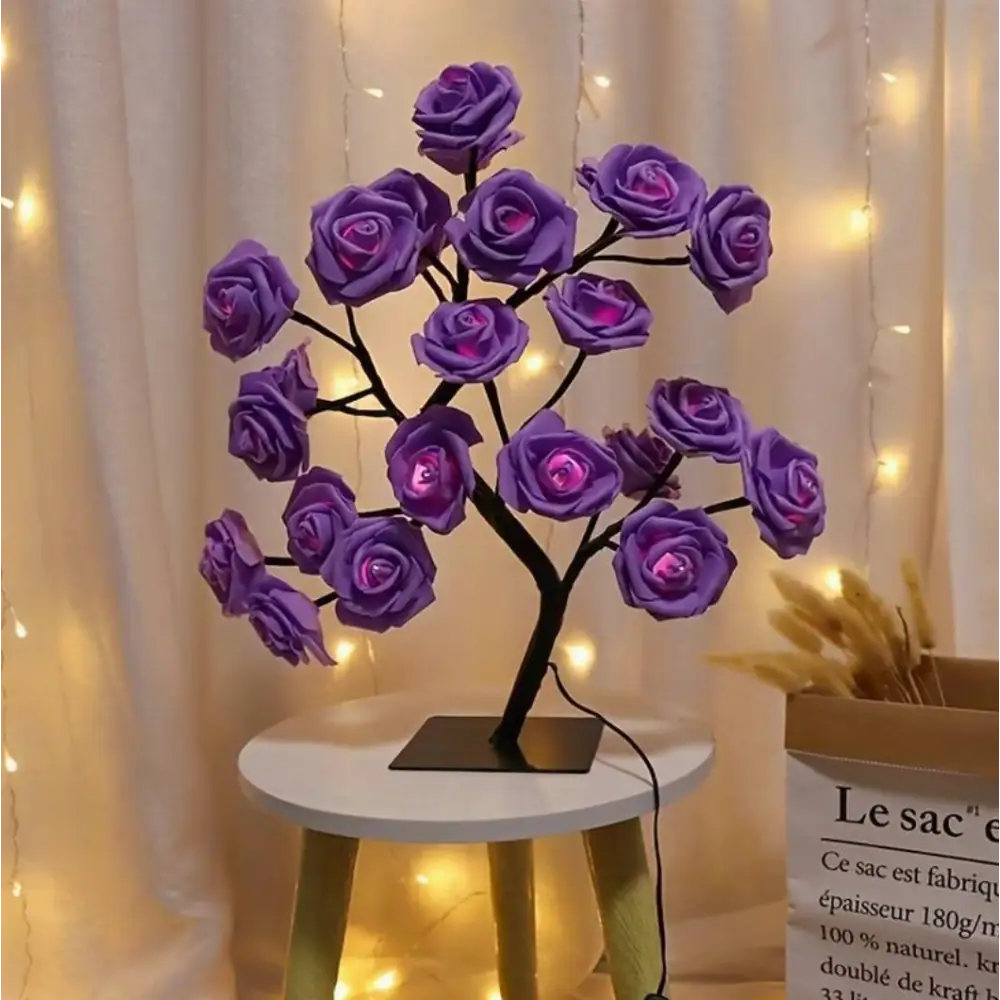Raxiva-bouquet lumineux leds
