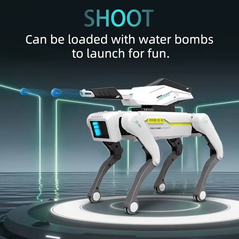 Raxiva-rc robot dog