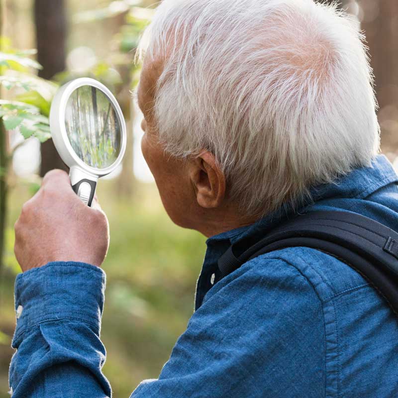 Raxiva optical magnifier