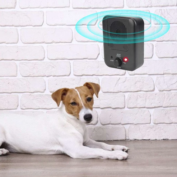 Raxiva-dog anti bark device