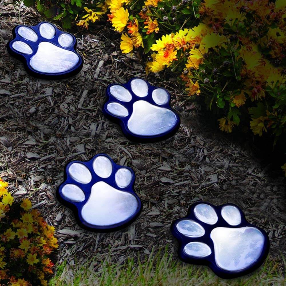 Raxiva-pattes magiques lumineuses pour jardin feerique