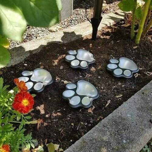 Raxiva-pattes magiques lumineuses pour jardin feerique